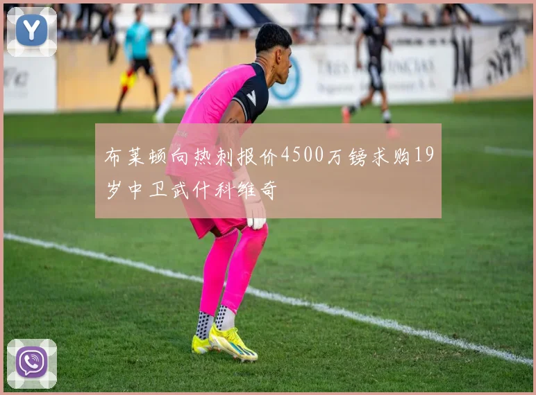布莱顿向热刺报价4500万镑求购19岁中卫武什科维奇