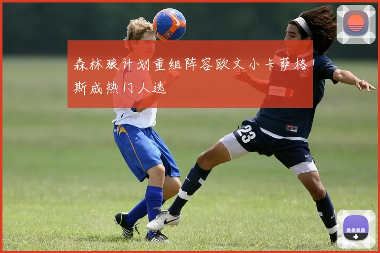 森林狼计划重组阵容欧文小卡萨格斯成热门人选