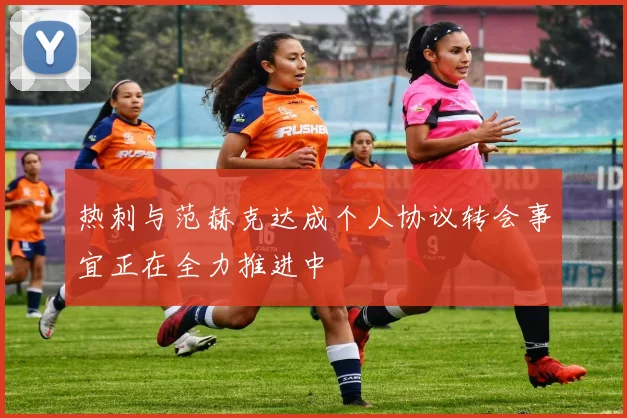 热刺与范赫克达成个人协议转会事宜正在全力推进中