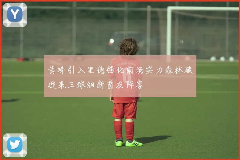黄蜂引入里德强化前场实力森林狼迎来三球组新首发阵容